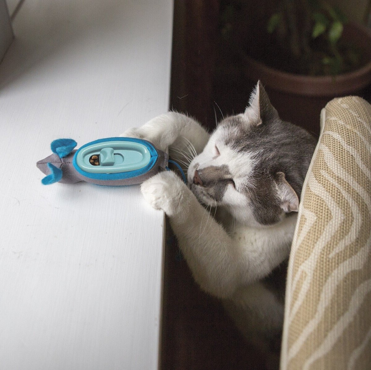 Doc and Phoebe The Hunting Snacker Cat Feeder Black - Blue 3.5in - Pets Perfect