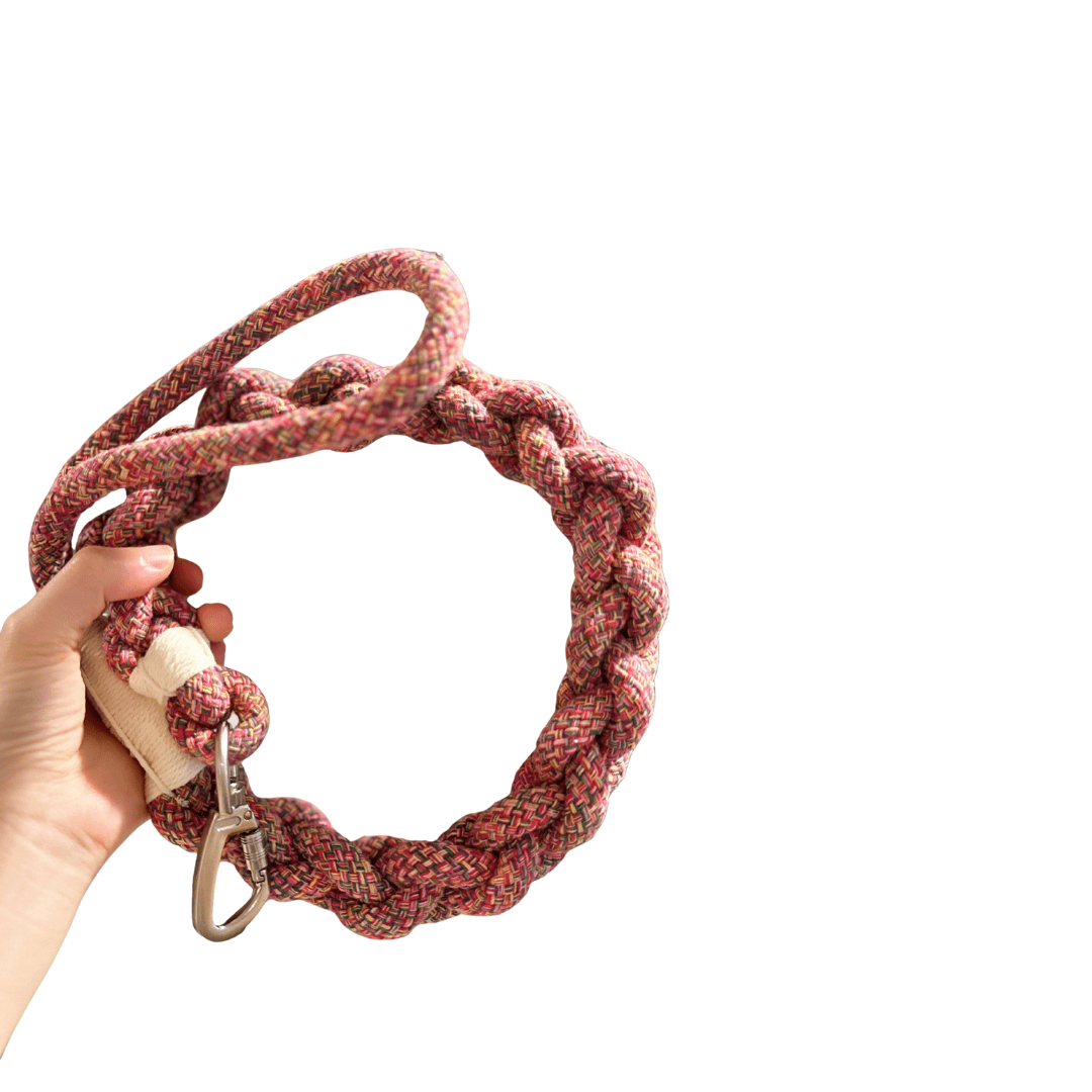 New: Handcrafted Rose Ember Dog Leash | Sustainable |Stylish - Pets Perfect