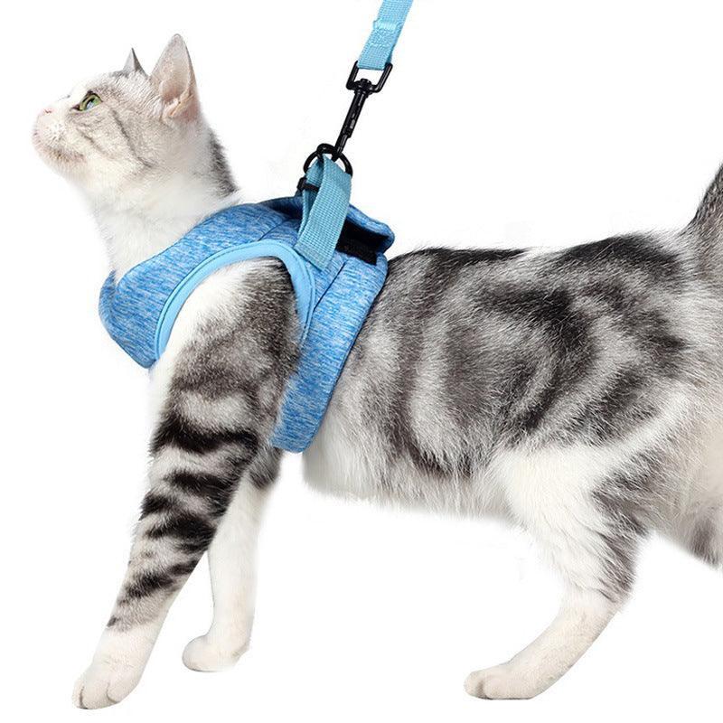 Lightweight Lace Cat Leash And Chest Strap Set - Stylish And Comfortable Outdoor Cat Harness - Pets Perfect