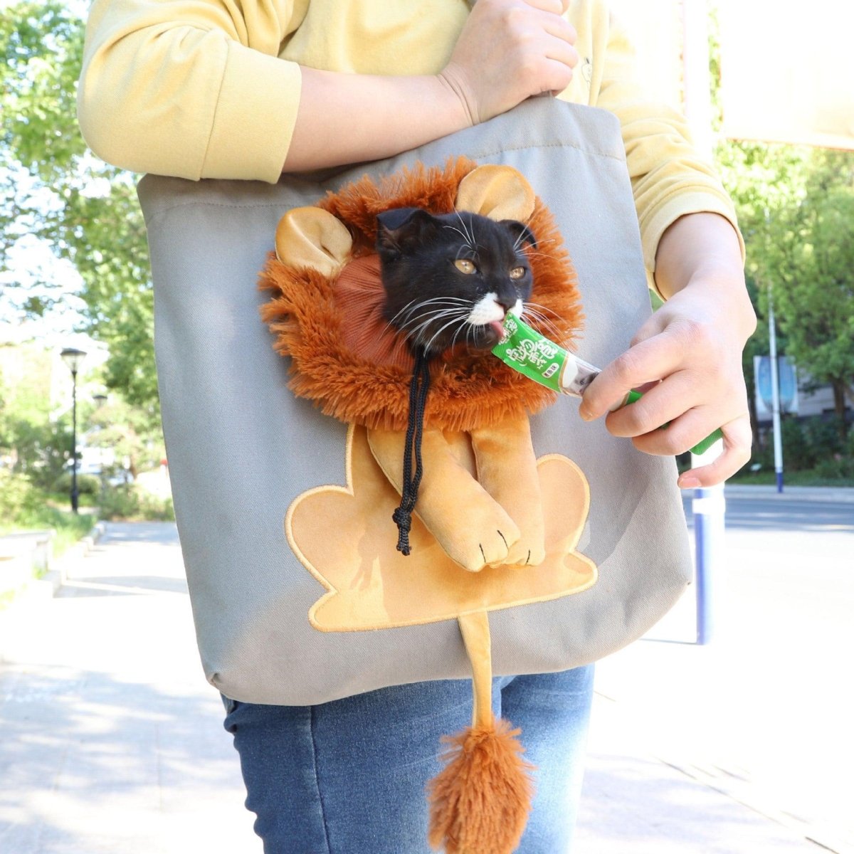 Lion Design Pet Carrier: Portable, Breathable, And Stylish For Travel With Your Furry Friend - Pets Perfect