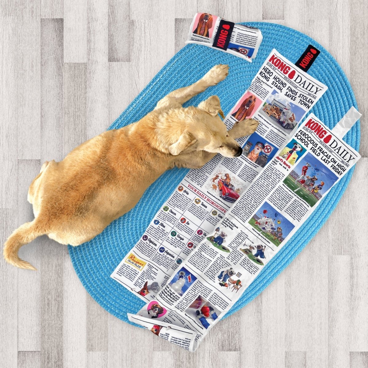KONG Daily Newspaper Dog Toy – XLarge - Pets Perfect