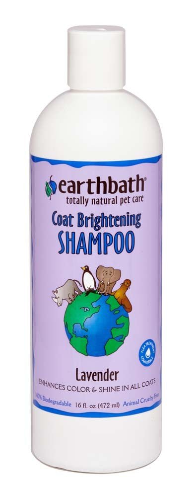 Earthbath Coat Brightening Shampoo, Lavender 1ea/16 oz - Pets Perfect