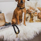 Dog Rope Leash - Emerald - Pets Perfect