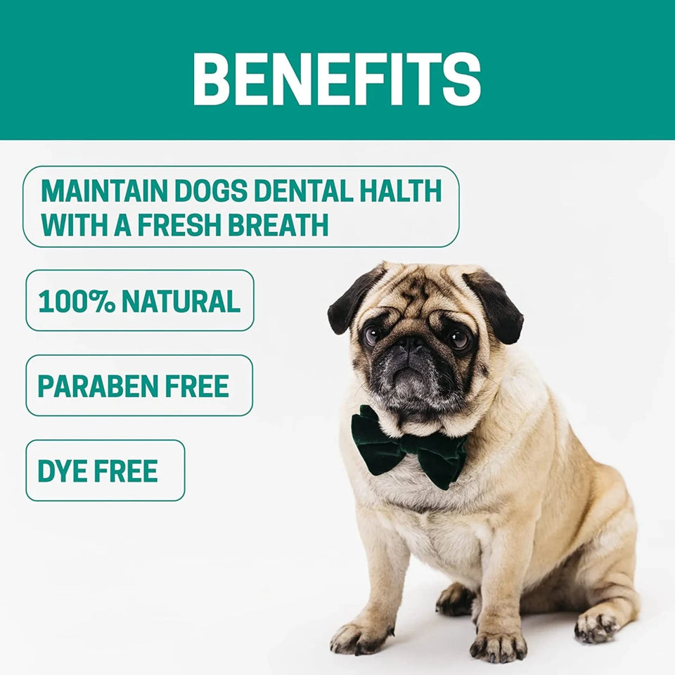 All-Natural Dog Dental Freshener 8 oz - Pets Perfect