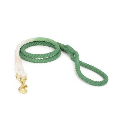 Dog Rope Dog Leash - Ombré Green