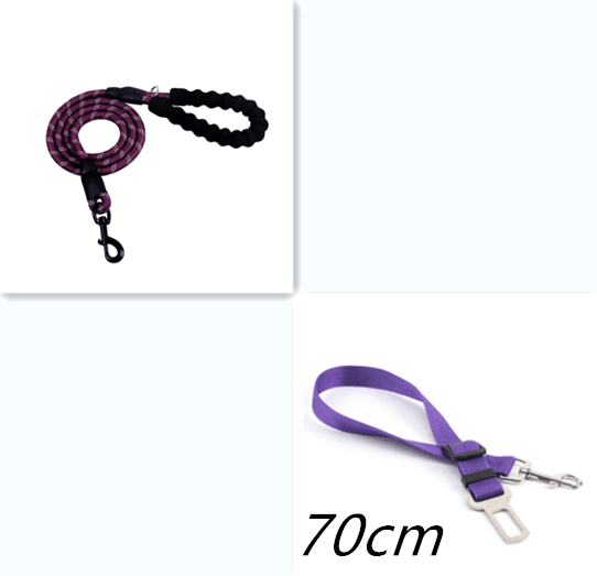 Reflective Comfort Leash - Premium Nylon Dog Leash For Walking And Training - Ultimate Pet Safety And Control
