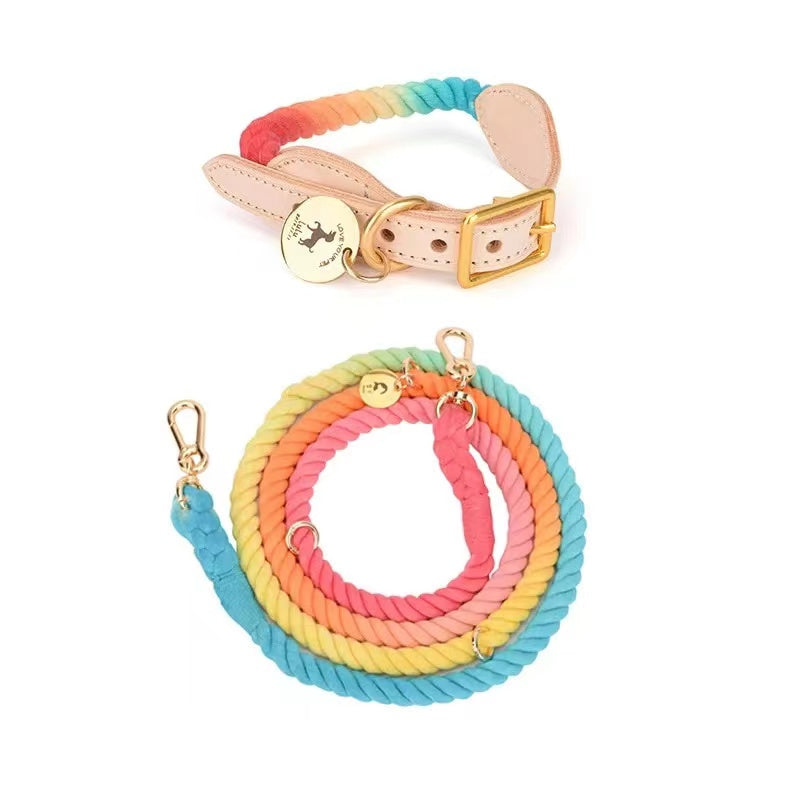 Hands-Free Rope Dog Leash and Luxe Royal Leather Dog Collar Bundle, Classic Rainbow