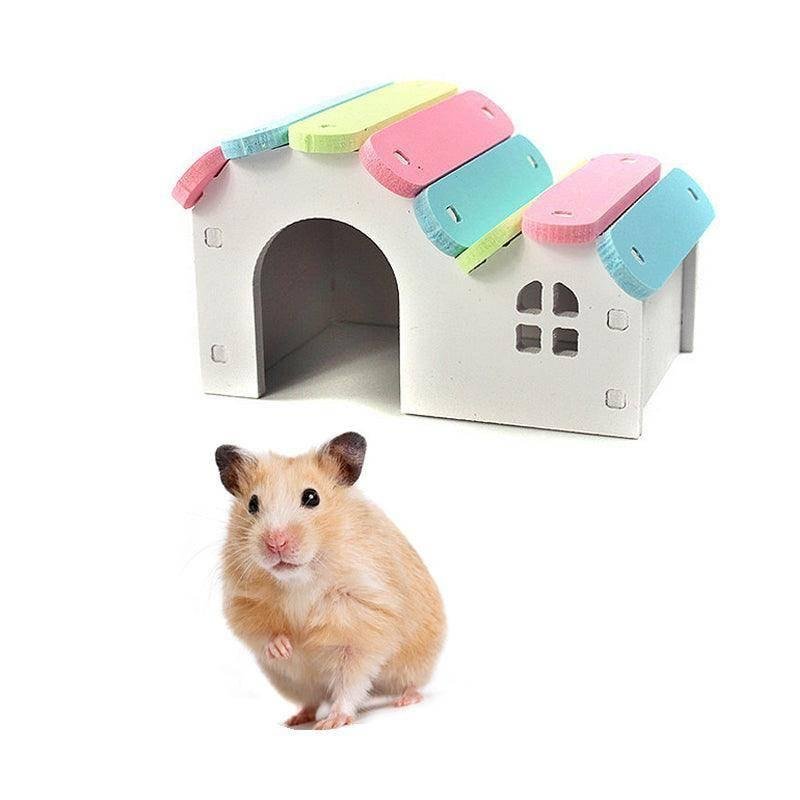 Colorful Hamster House & Playground with Ladder - Pets Perfect