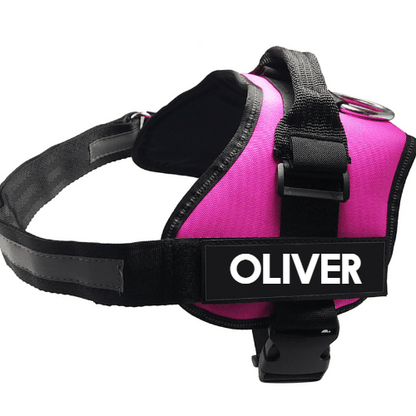 Ultimate Pet Adventure Chest Harness And Leash Set - Pets Perfect