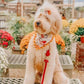 Hands Free Rope Leash and Luxe Royal Leather Collar Bundle - Strawberry Love - Pets Perfect