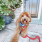 Dog Rope Leash - Verona - Pets Perfect