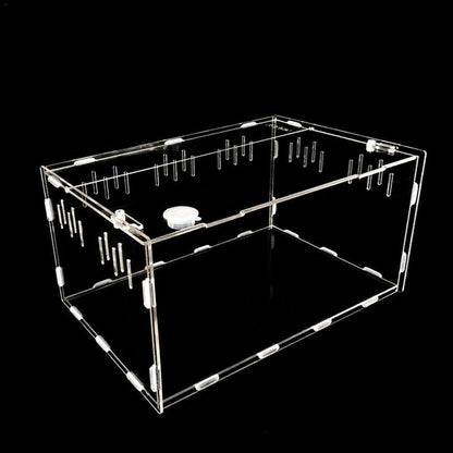 Reptile Haven: Crystal Clear Breeding Box For Your Beloved Pets - Pets Perfect