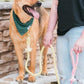Dog Rope Leash - Denim Dark Blue - Pets Perfect