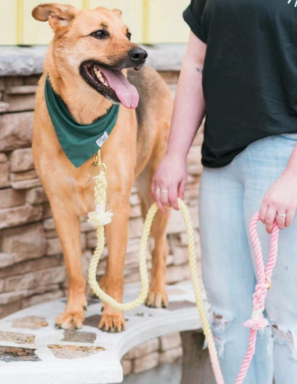 Dog Rope Dog Leash - Ombré Pink, view 3