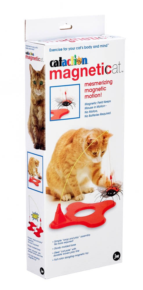 JW Pet Magneticat Interactive Cat Toy Multi-Color