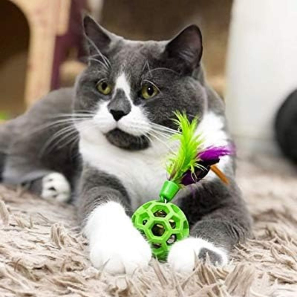 JW Pet Cataction Feather Ball with Bell Cat Toy Green 1ea/One Size - Pets Perfect