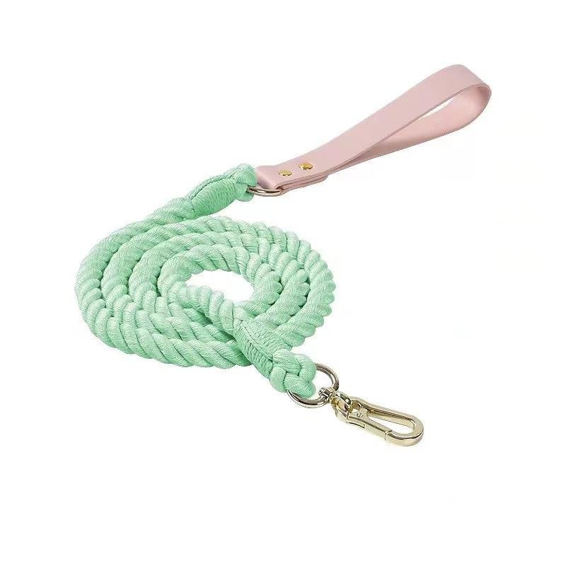Luxe Royal Pink Leather Rope Dog Leash - Dinosaur, view 3