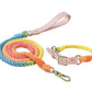 Luxe Royal Leather Rope Leash and Collar Set - Classic Rainbow - Pets Perfect