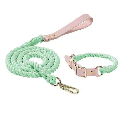 Luxe Royal Leather Rope Dog Leash and Dog Collar Set - Mint Green, Small