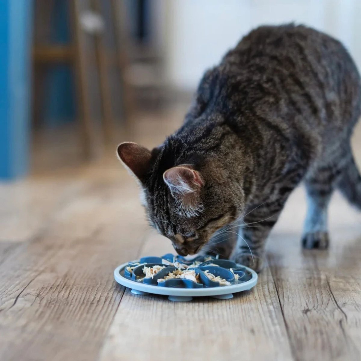 Messy Mutts Cat Interactive Feeder Gray 6 Inches - Pets Perfect