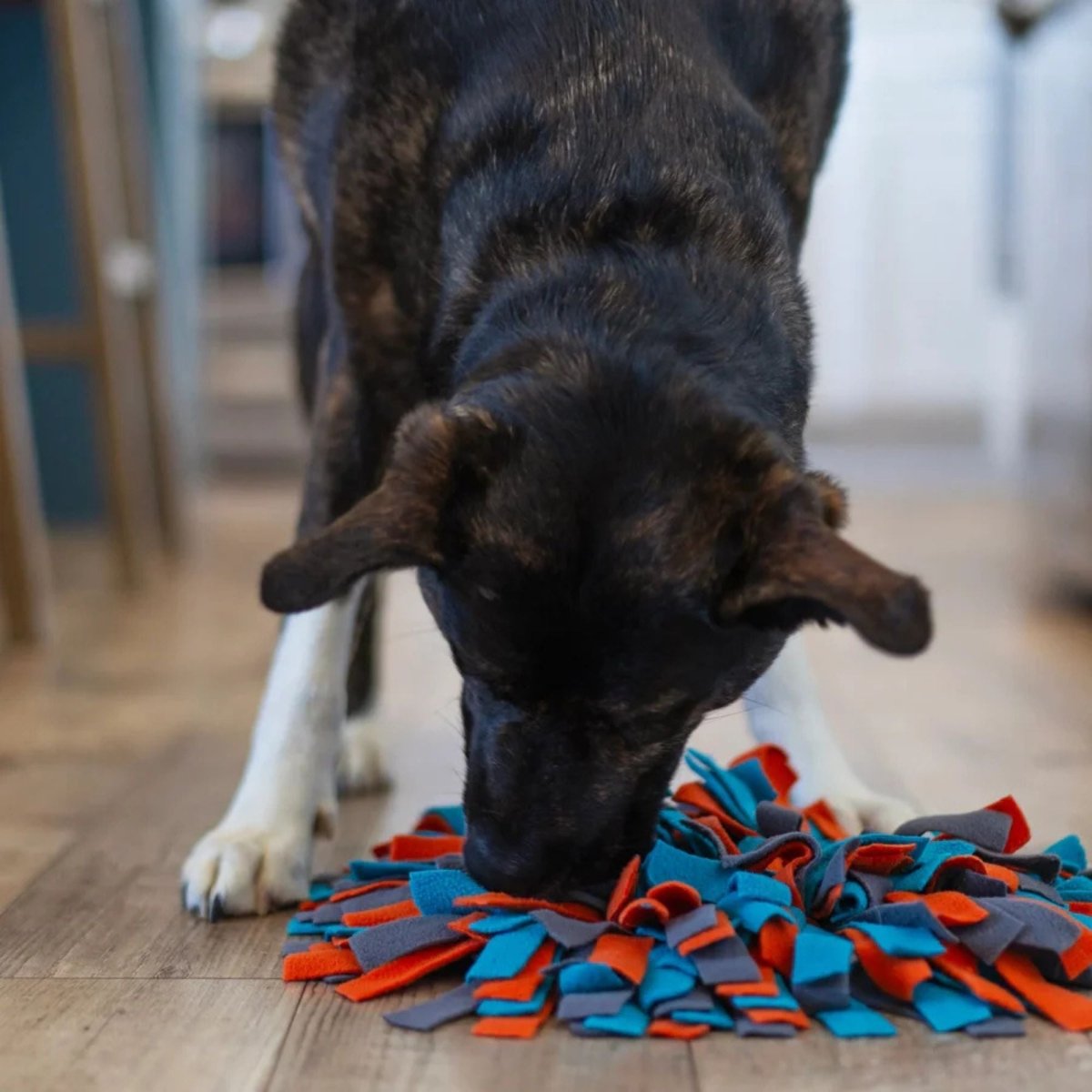 Messy Mutts Dog Round Forage Mat 15 Inch - Pets Perfect
