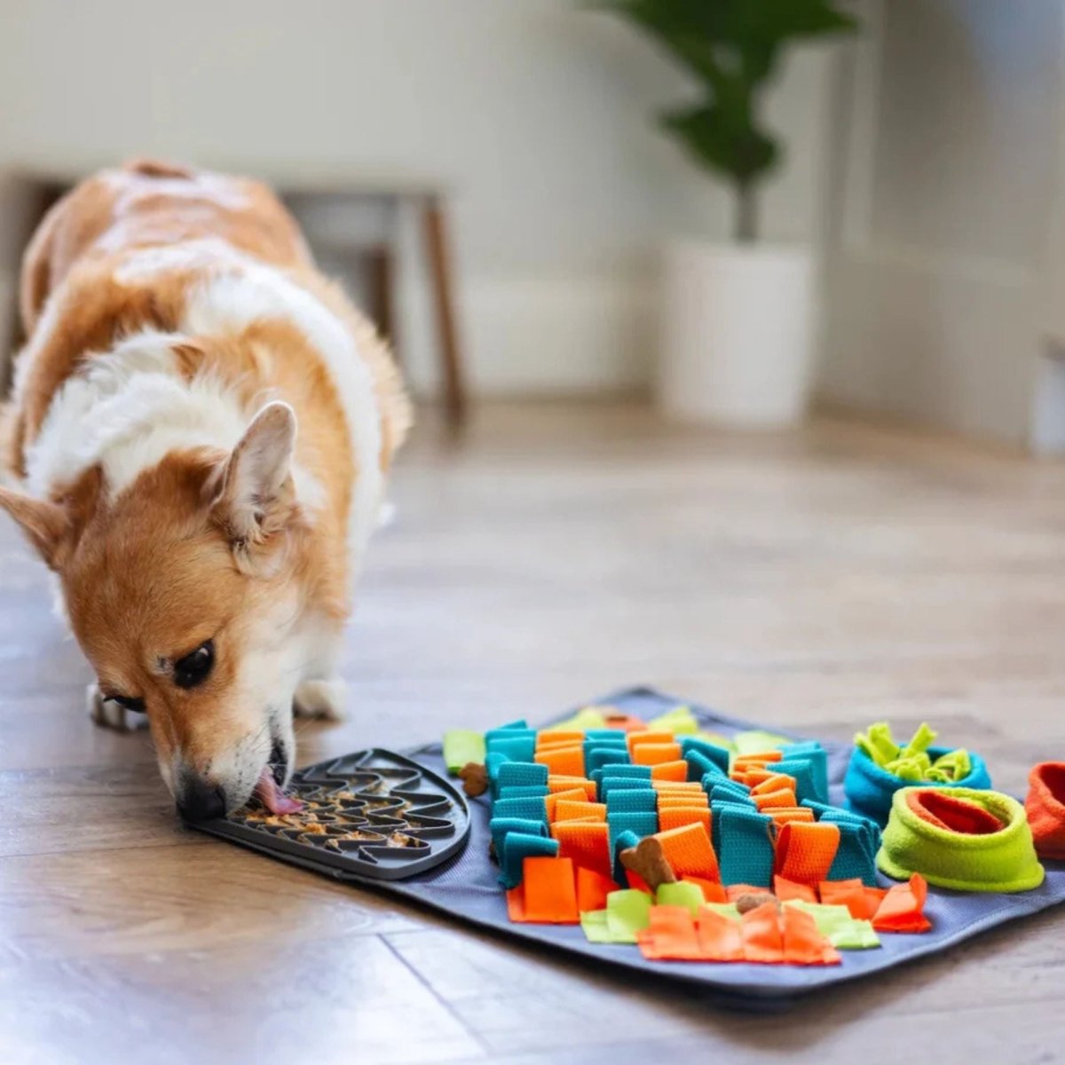 Messy Mutts Dog Square Forage Lick Mat 16" x 16" - Pets Perfect