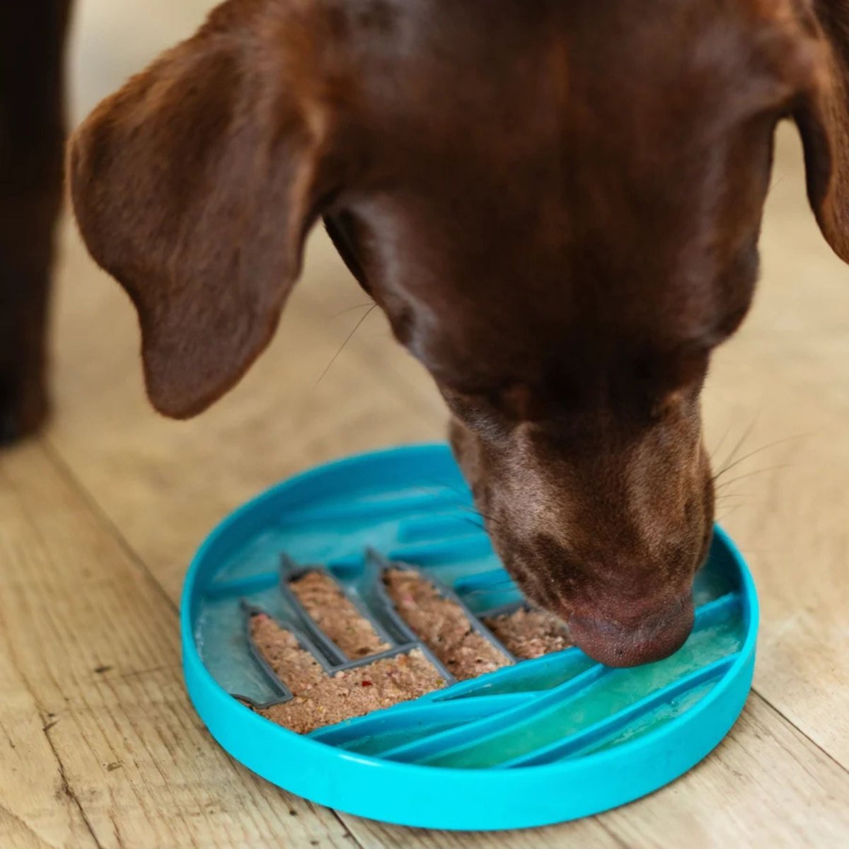 Messy Mutts Dog Silicone Interactive Lick Bowl City Pattern Blue - Pets Perfect