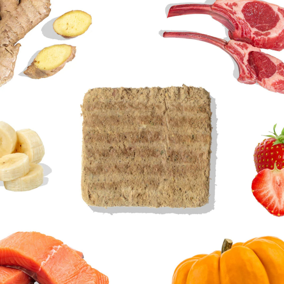 Healthy Bud Dog Freeze-dried 14oz. Lamb Salmon Patties