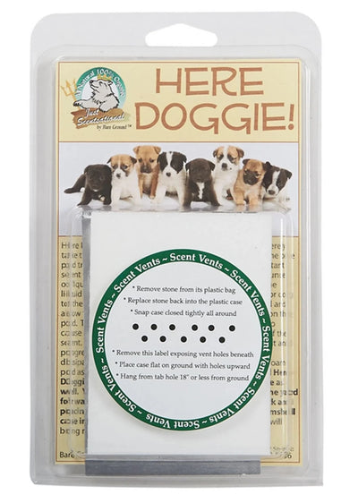 Just Scentsational Here Doggie! Indoor Dog Training Stone - Pets Perfect