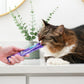 Ark Naturals Cat Lickable Kiss Me - Ow Chicken 2oz. - Pets Perfect
