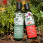 Ark Naturals ears All Right Dog & Cat Gentle Cleaning Lotion, 4oz. Bottle - Pets Perfect