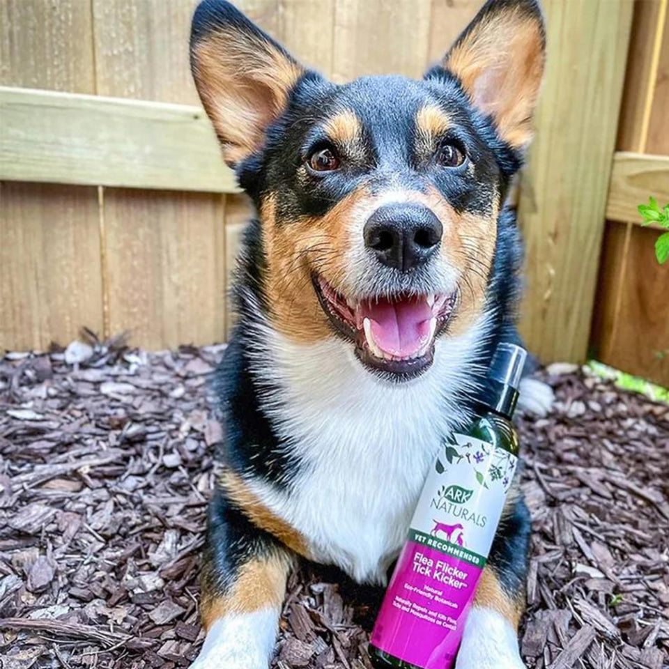 Ark Naturals Flea Flicker! Tick Kicker! Dog & Cat Spray, 8 oz. Bottle