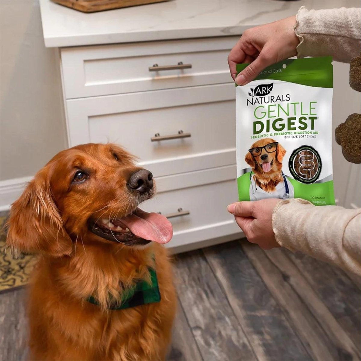 Ark Naturals Gentle Digest Dog & Cat Soft Chews, 120 Count - Pets Perfect