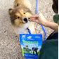 Ark Naturals Breath - Less Brushless Toothpaste Small To Medium Dog Chews, 12 - oz. Bag - Pets Perfect