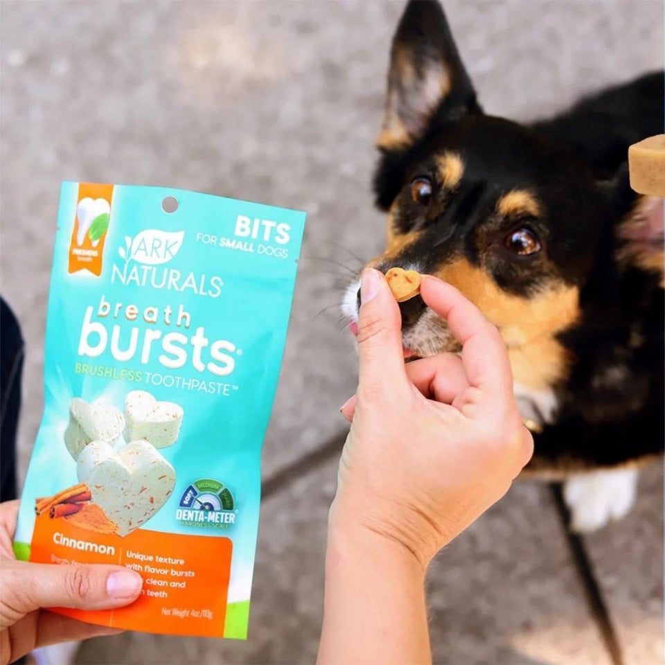Ark Naturals Dog Breath Bursts Cinnamon Bits 4 oz, view 3