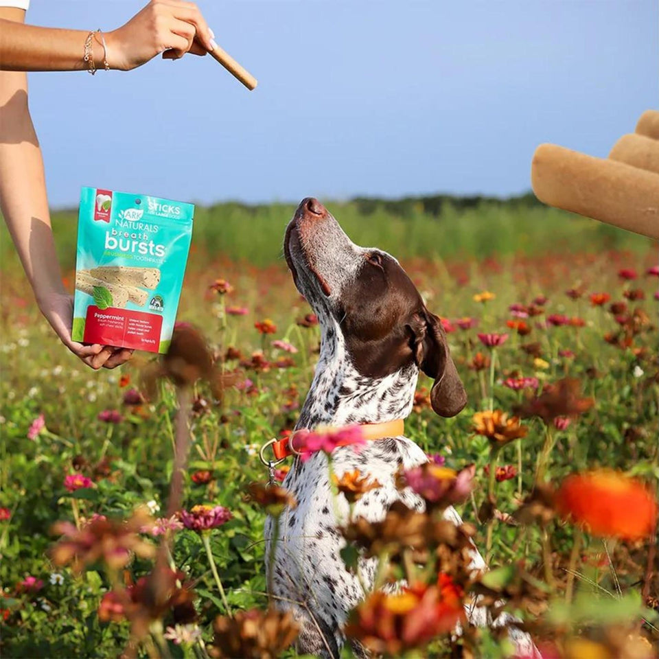 Ark Naturals Dog Breath Bursts Peppermint Sticks 6 oz, view 3