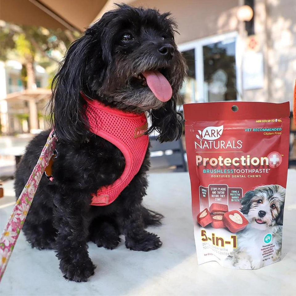 Ark Naturals Protection+ Toothpaste 5-in-1 -4 oz Mini Dog Chews