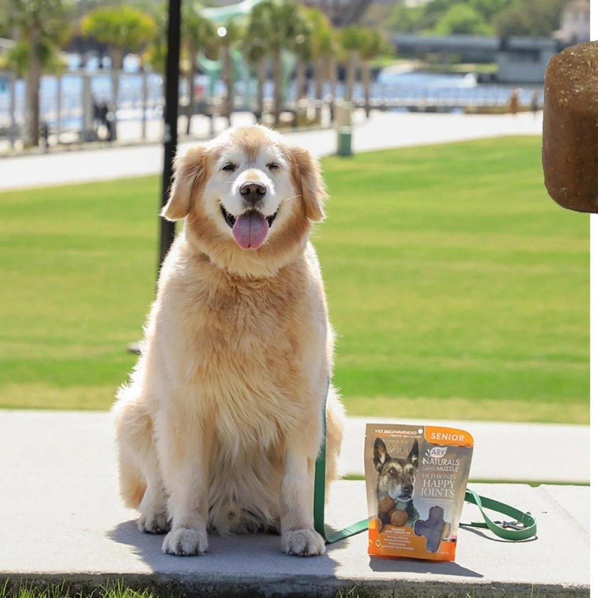 Ark Naturals Gray Muzzle Old Dogs! Happy Joints! Max Strength - Large - Pets Perfect