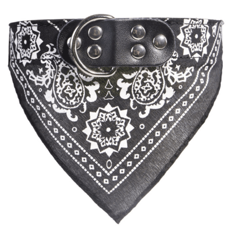 Leather Dog Collar - Personalized with Custom Engraving - Pets Perfect