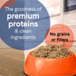 CANIDAE PURE Goodness Grain - Free LID Canned Dog Food Elements Formula w/Lamb, Turkey & Chicken, 12ea/13 oz - Pets Perfect