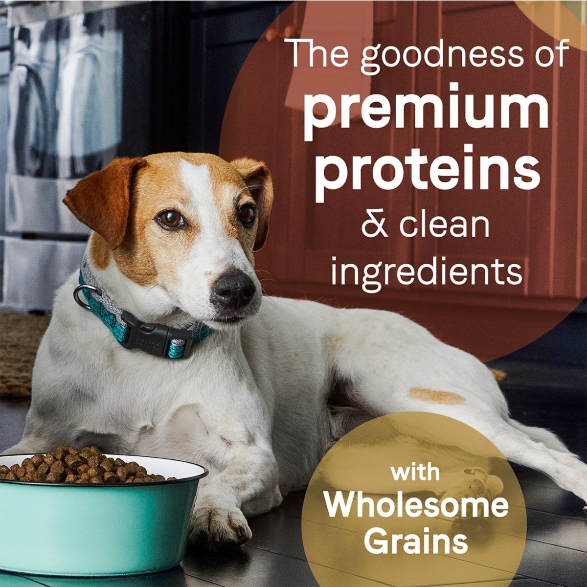 CANIDAE PURE Farm To Bowl Dry Dog Food | Beef & Barley with Wholesome Grains 4 lb - Pets Perfect
