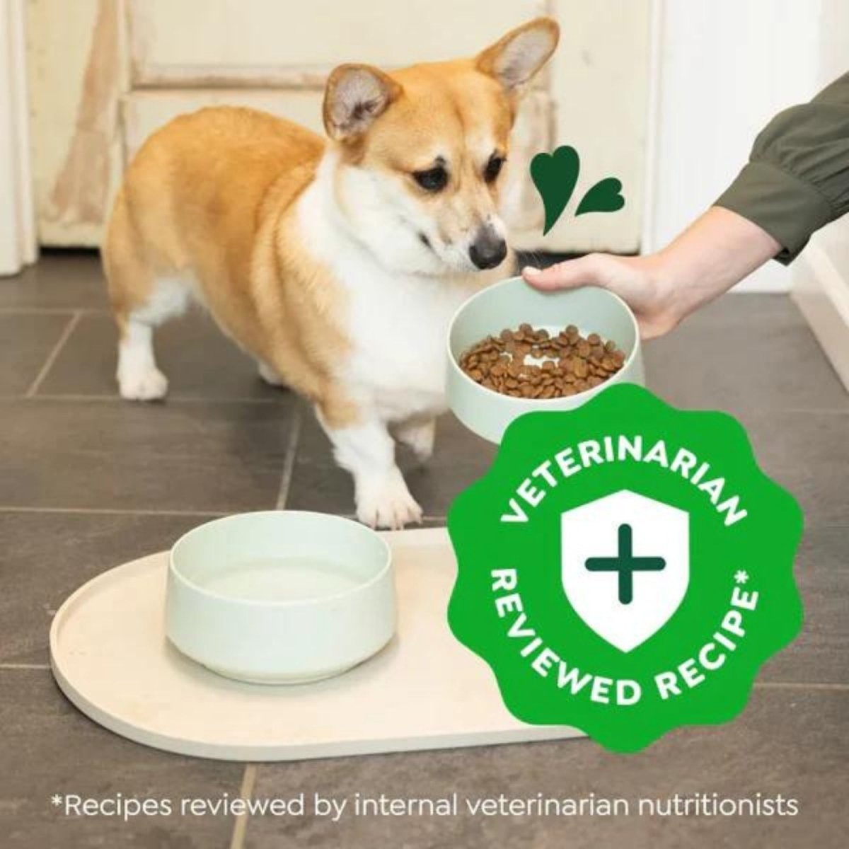 Greenies Smart Essentials Small Breed Adult Dry Dog Food Chicken & Rice 27lb - Pets Perfect