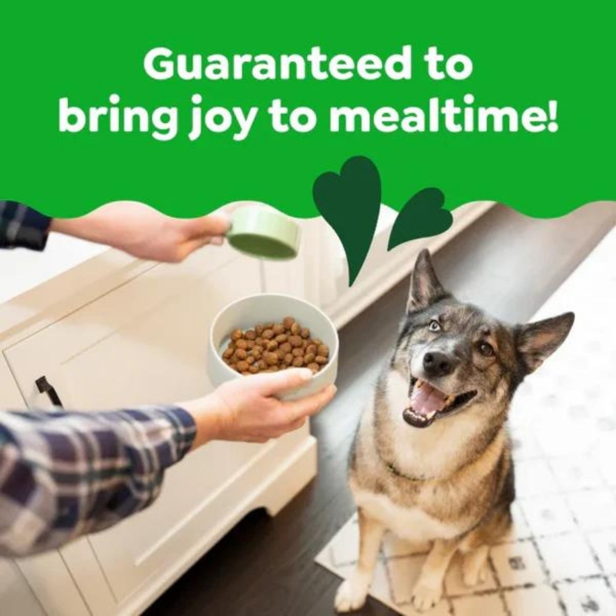 Greenies Smart Essentials Large Breed Dry Dog Food Chicken & Rice, 1ea/15 lb - Pets Perfect