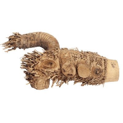A&E Cages Spider Root Reptile Branch - Natural Sustainable Bamboo Root, Small