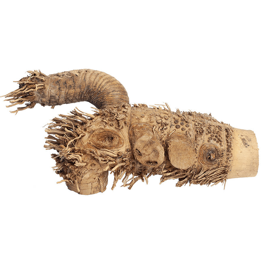 A&E Cages Spider Root Reptile Branch - Natural Sustainable Bamboo Root, Small