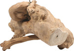 A&E Cages Java Wood Reptile Branch - Natural Retired Coffee Tree Wood | Small