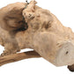 A&E Cages Java Wood Reptile Branch - Natural Retired Coffee Tree Wood | Small