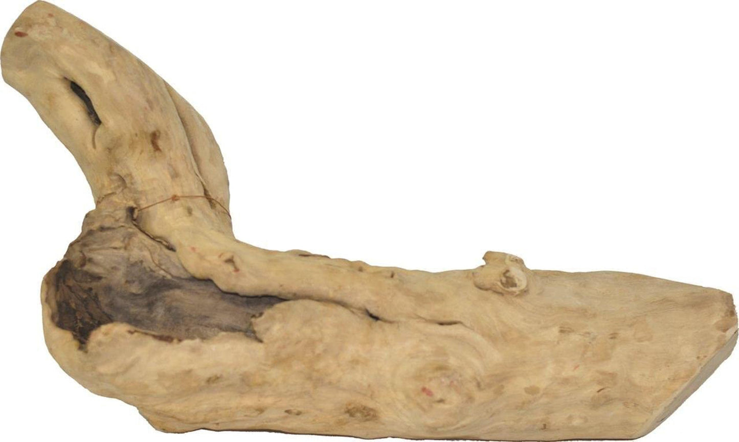 A&E Cages Java Wood Reptile Branch - Natural Retired Coffee Tree Wood | Medium