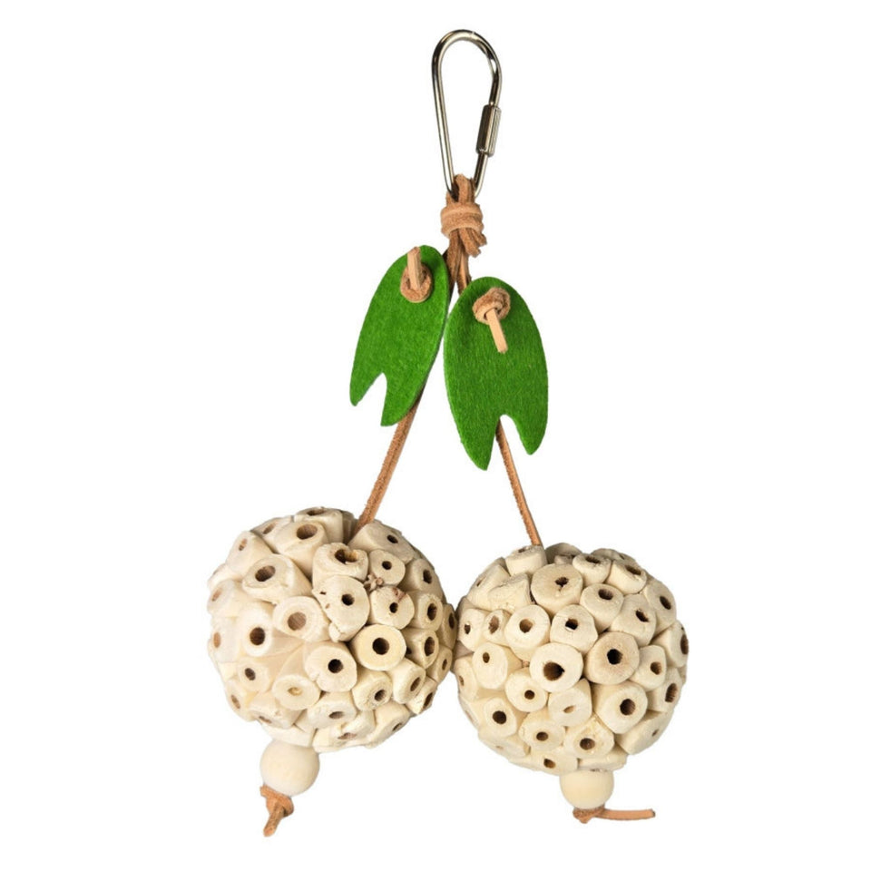 A & E Cages Happy Beaks Picky Pair Hanging Bird Chew 1ea