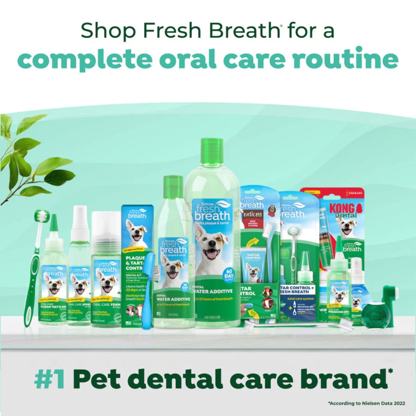 TropiClean Fresh Breath Oral Care Water Additive for Dogs 33.8 fl oz, view 2